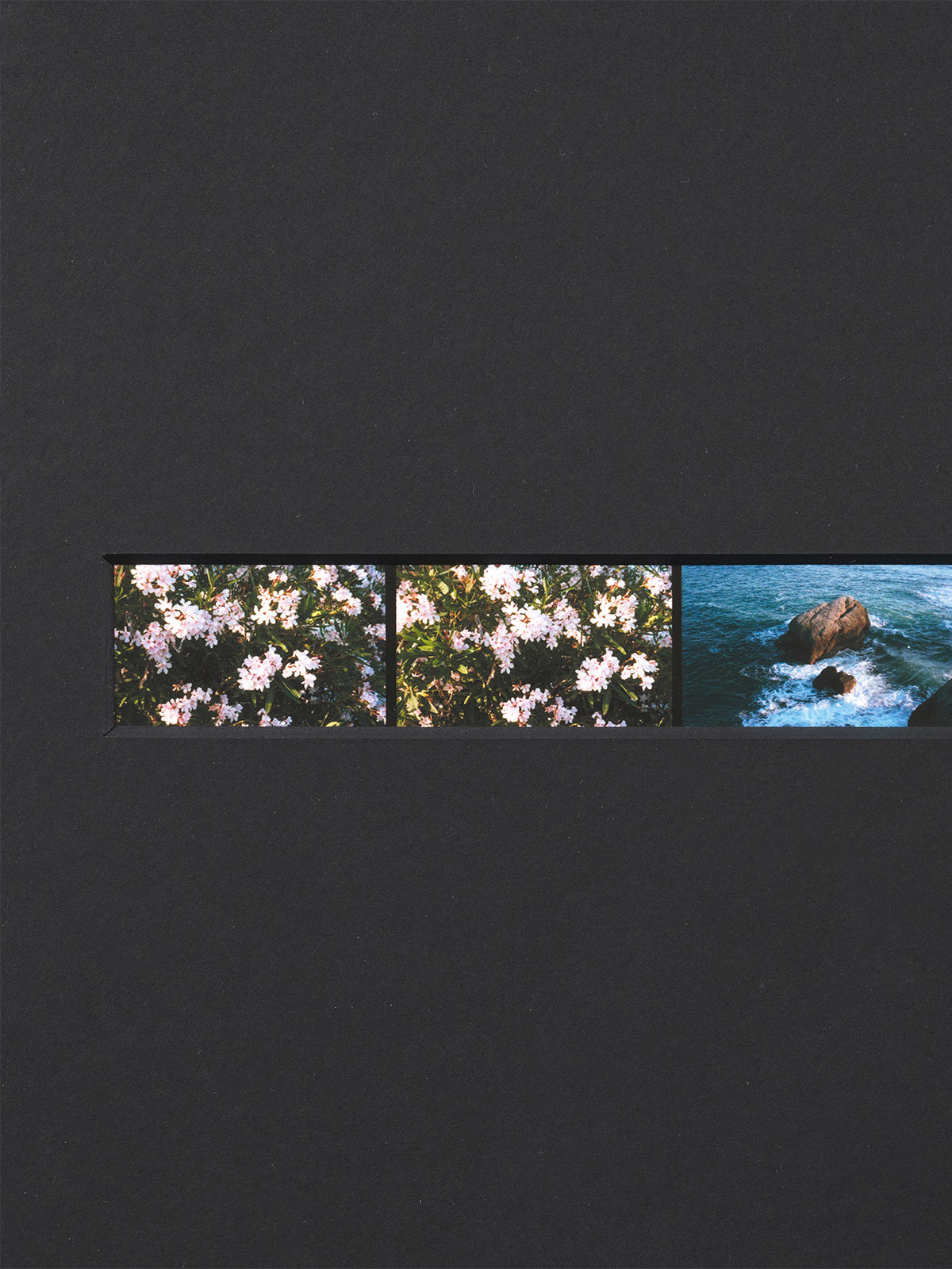 Sketch of Summer, 2025