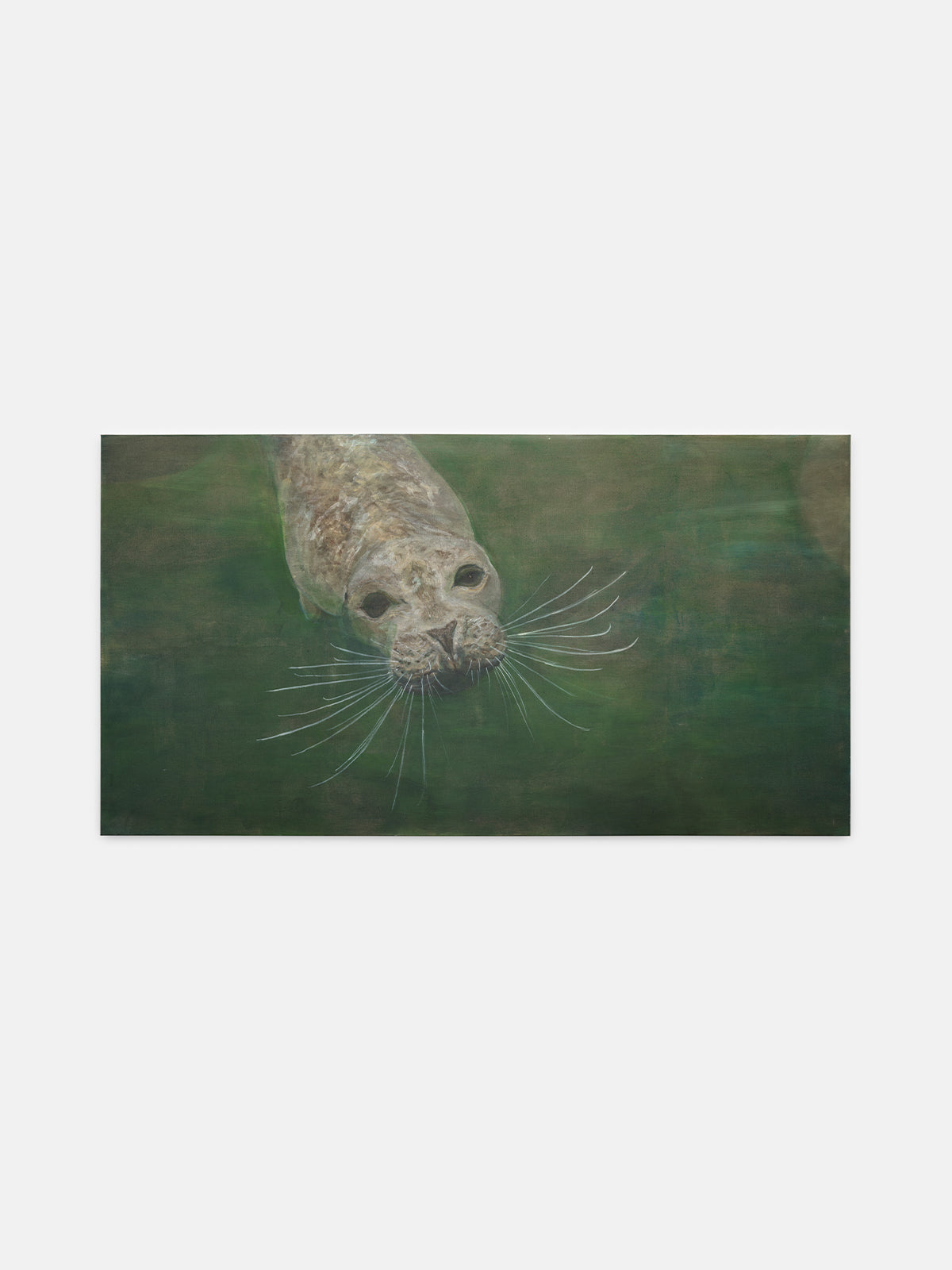 Seal, 2025