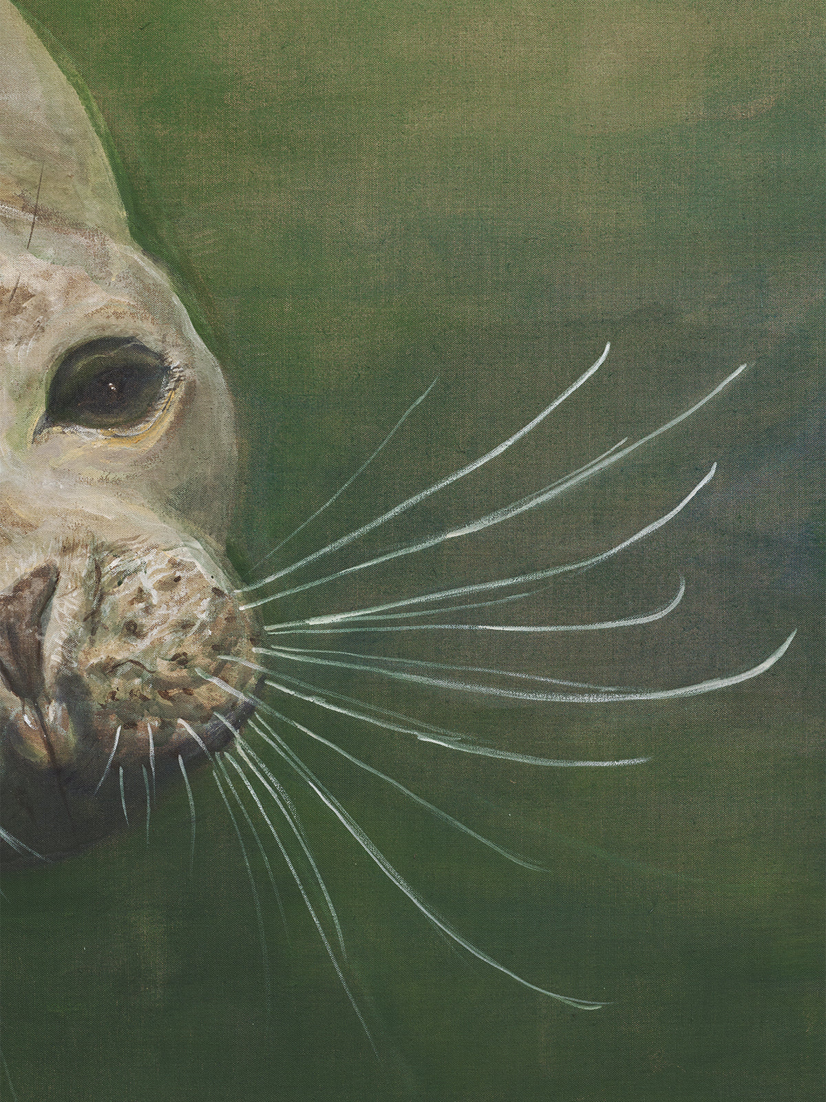 Seal, 2025