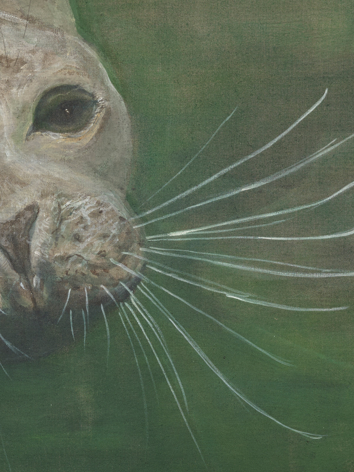 Seal, 2025