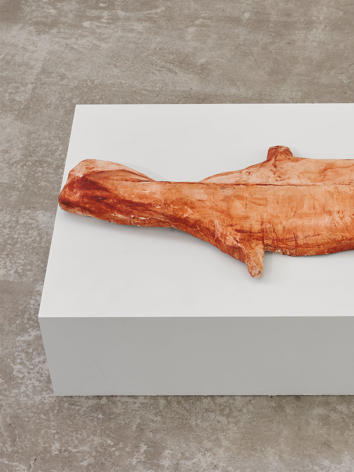 Robbe (Hommage à Beuys), 2026