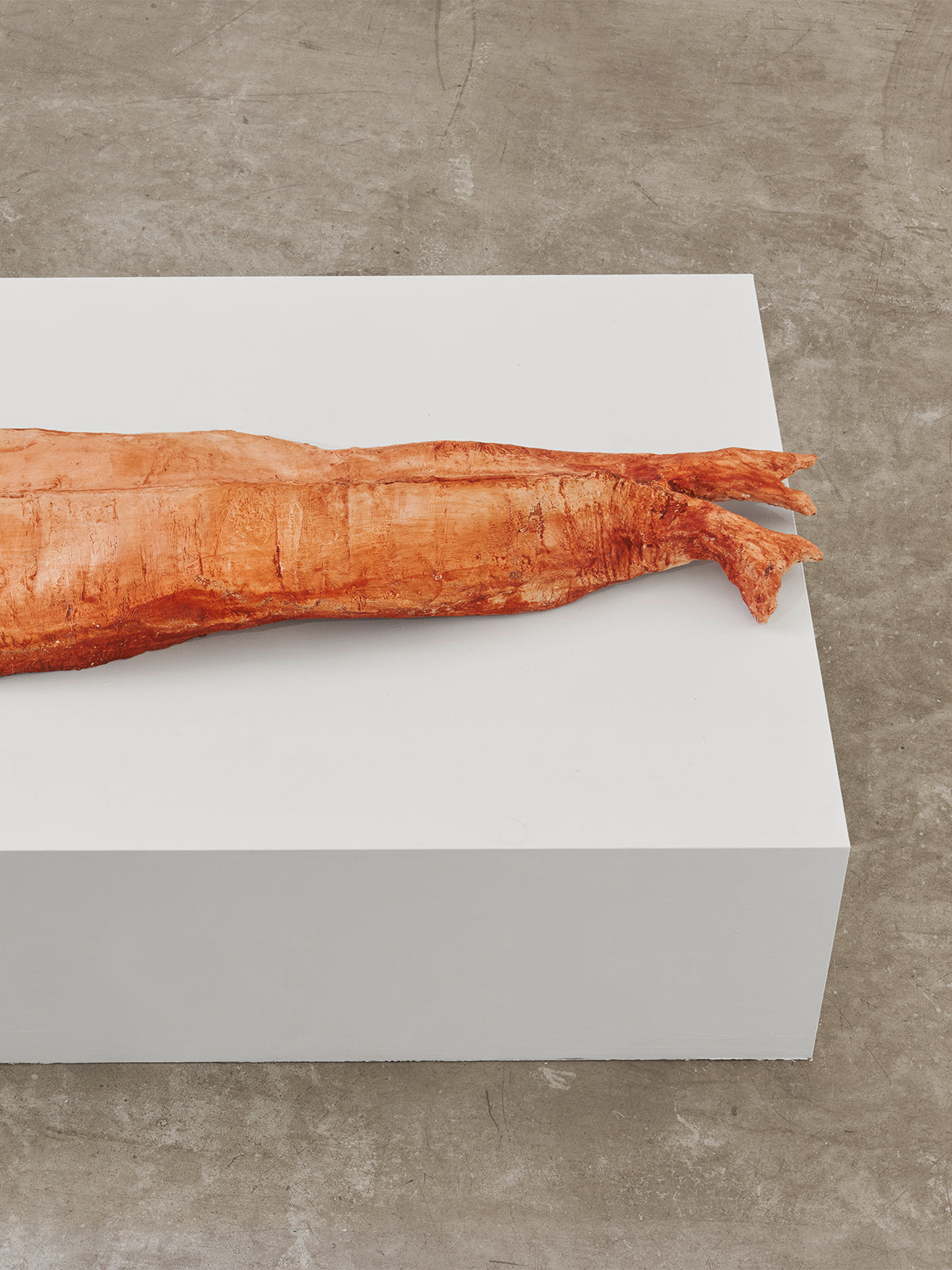 Robbe (Hommage à Beuys), 2026