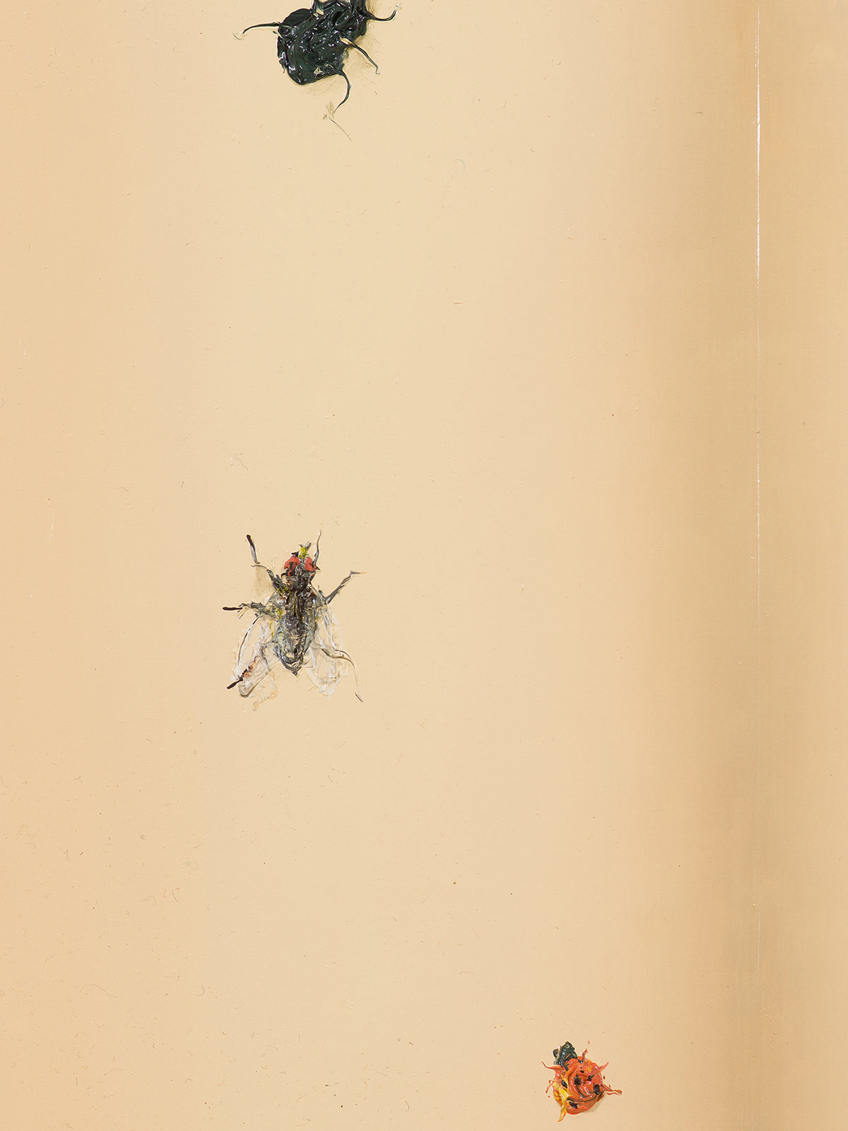 Książka z owadami (Book with Bugs), 2024