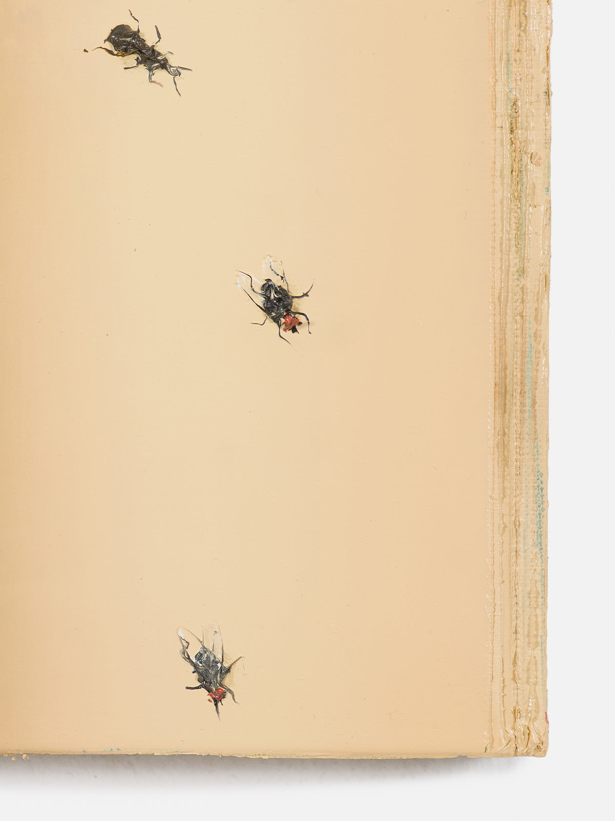 Książka z owadami (Book with Bugs), 2024