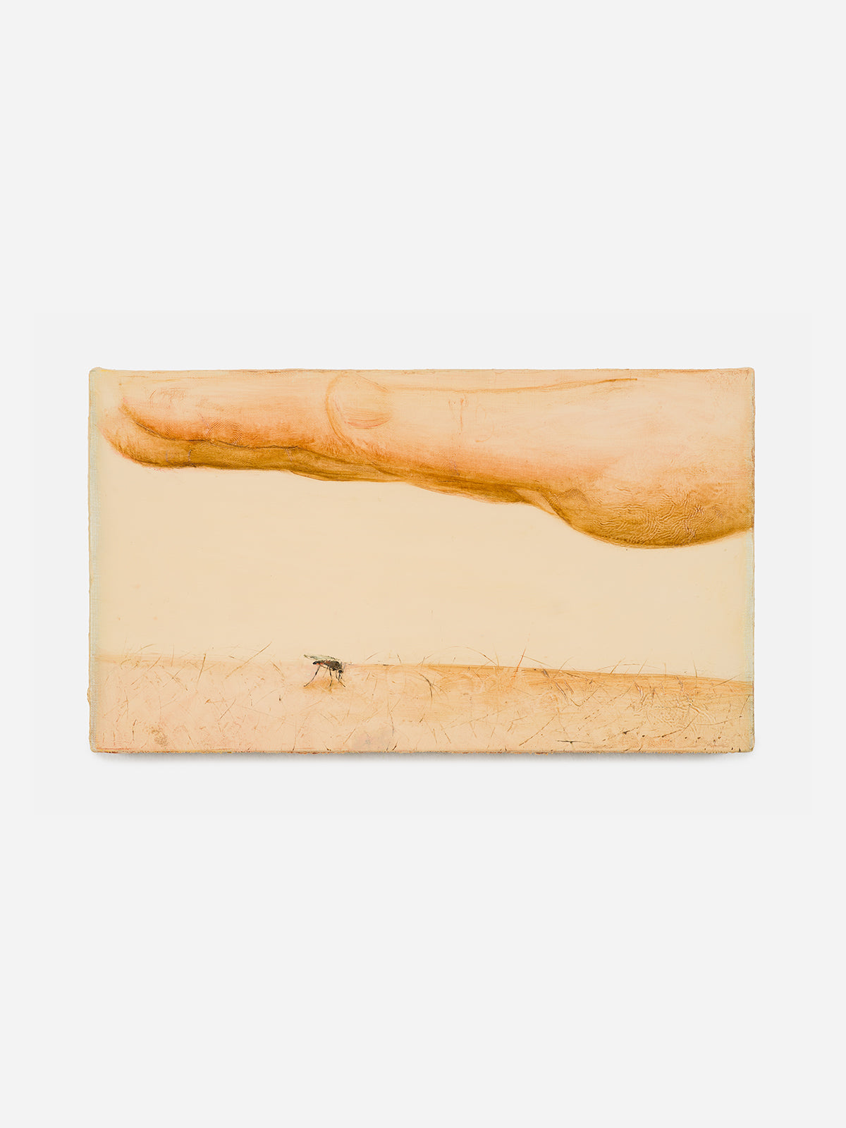 Komar (Mosquito), 2025