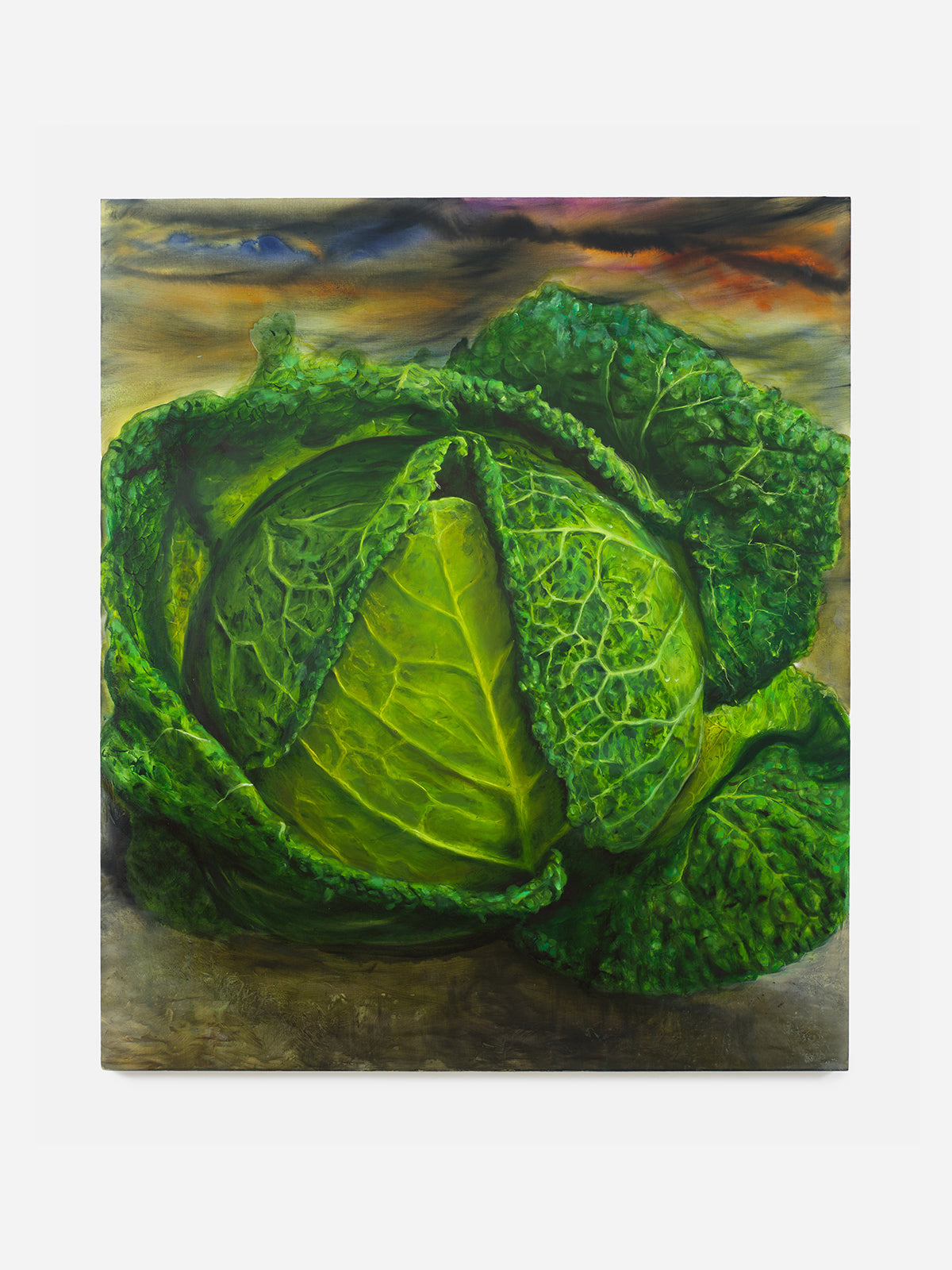 Wielka kapusta (Great Cabbage), 2025
