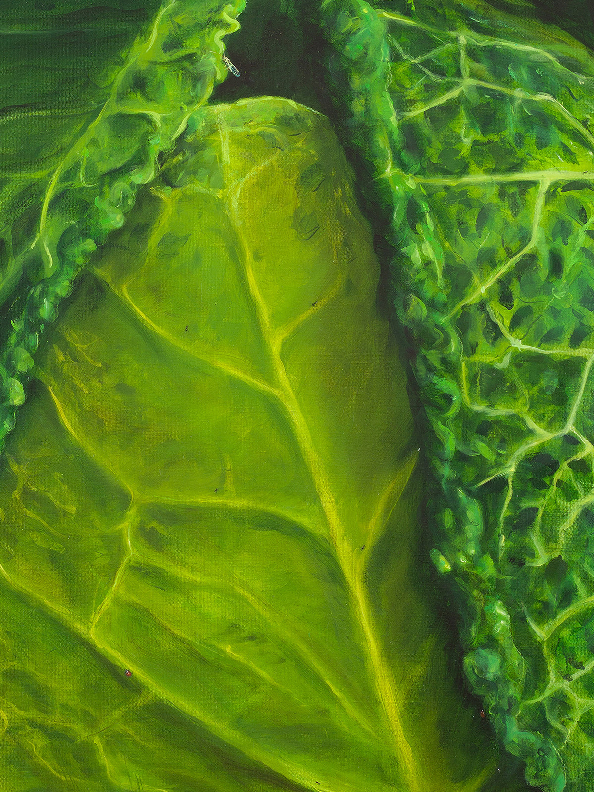 Wielka kapusta (Great Cabbage), 2025