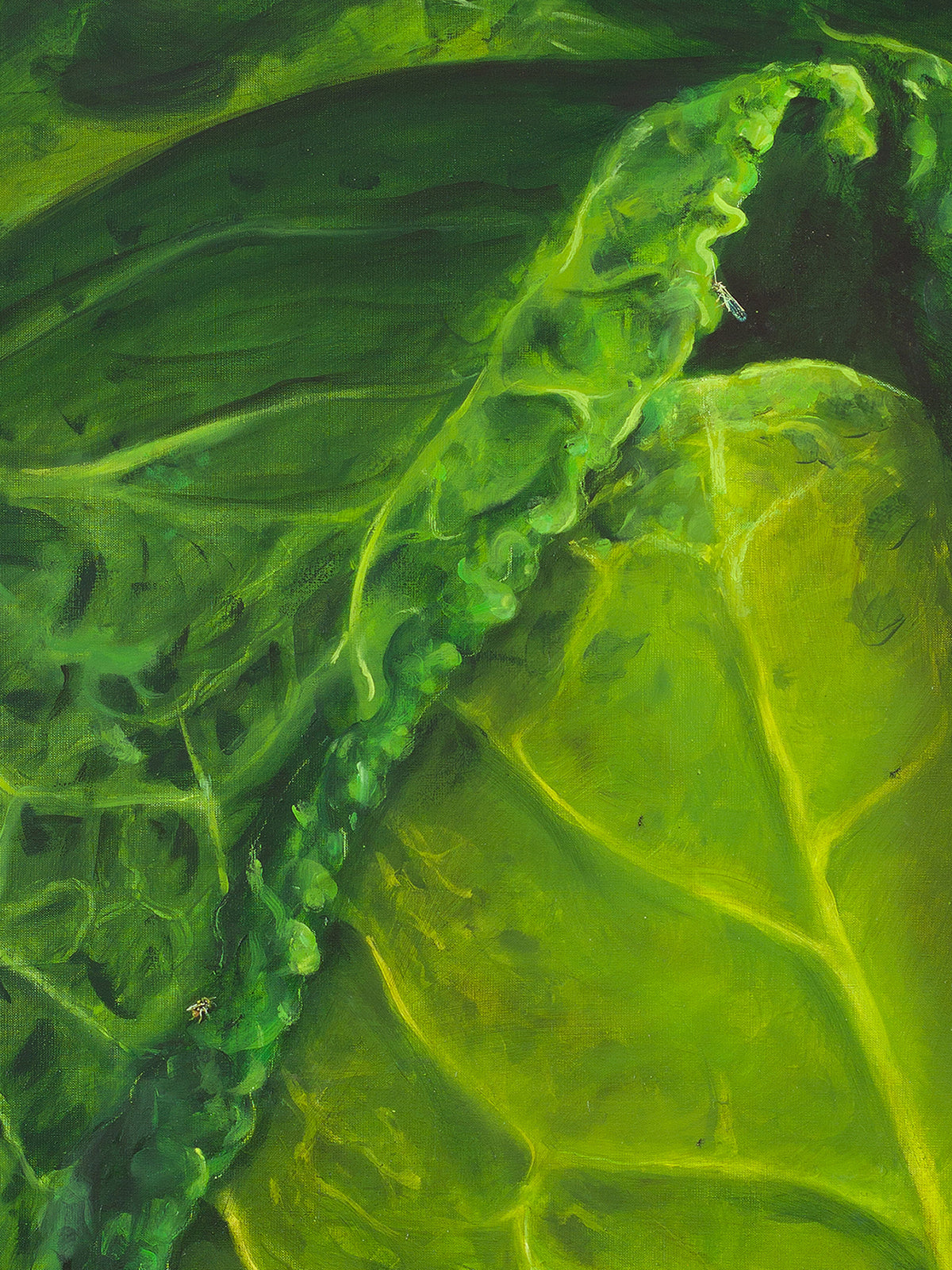 Wielka kapusta (Great Cabbage), 2025