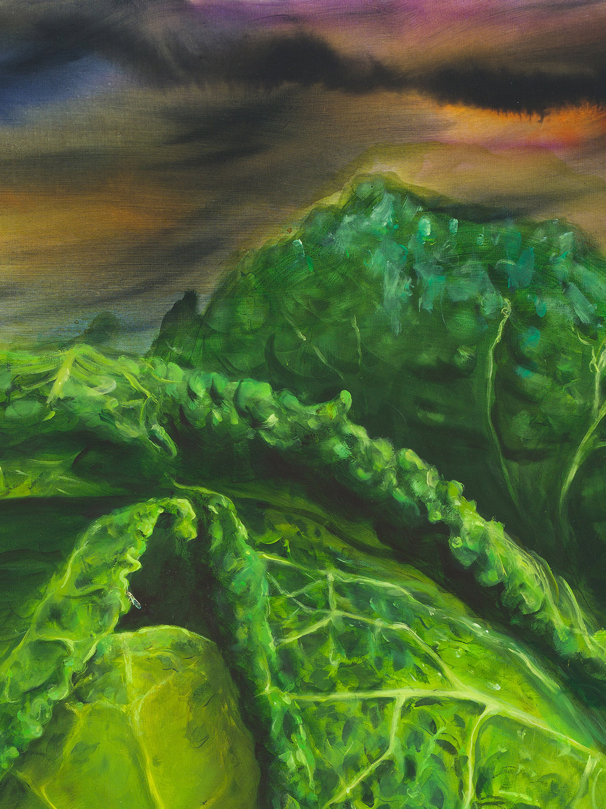 Wielka kapusta (Great Cabbage), 2025