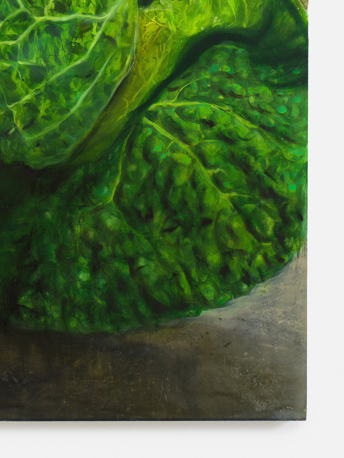 Wielka kapusta (Great Cabbage), 2025