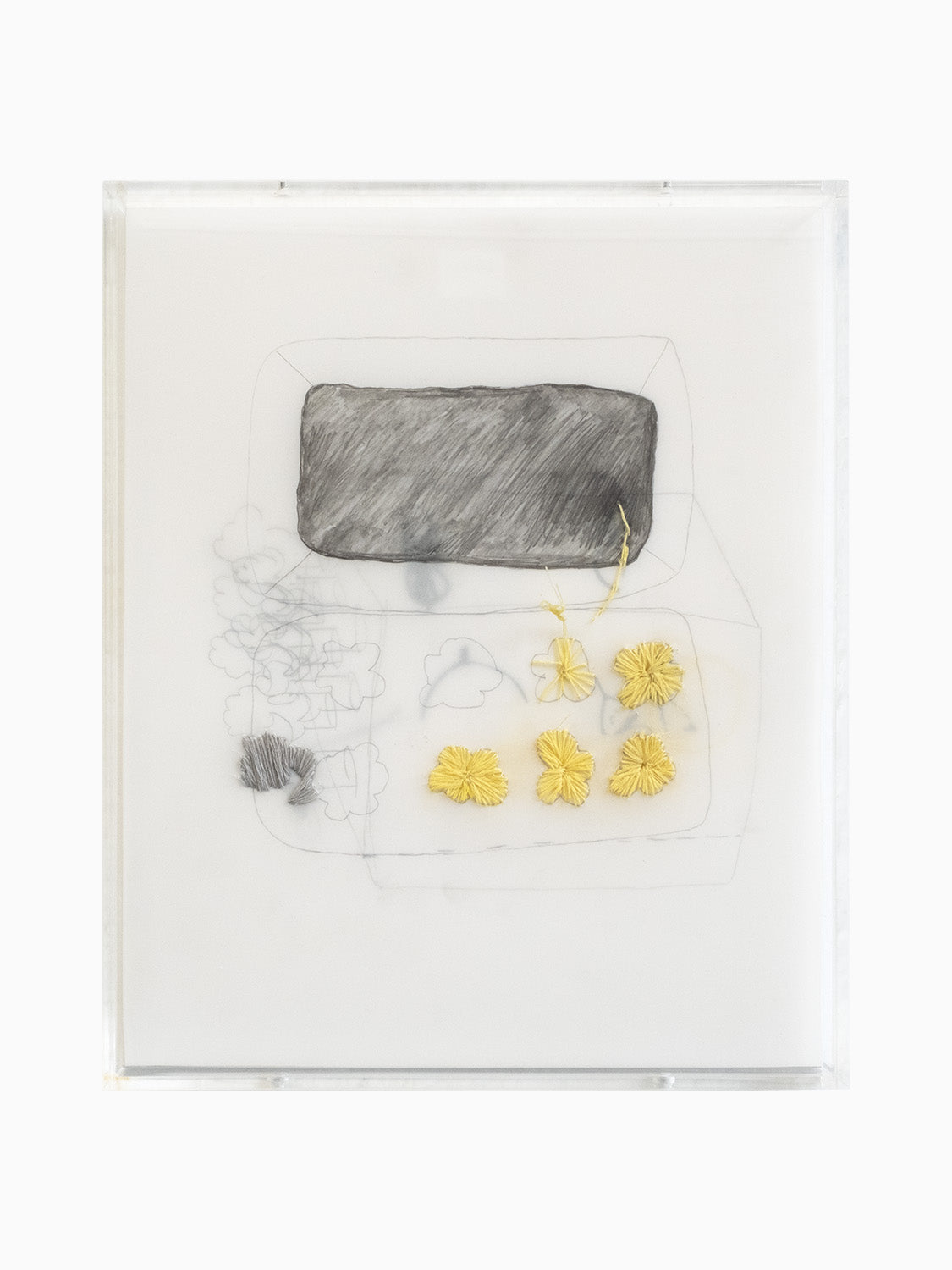 Untitled (yellow blossoms in a case)