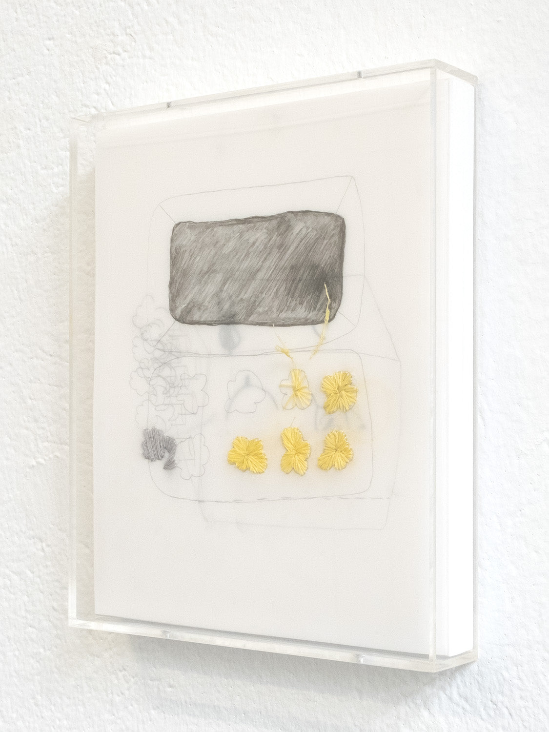 Untitled (yellow blossoms in a case)