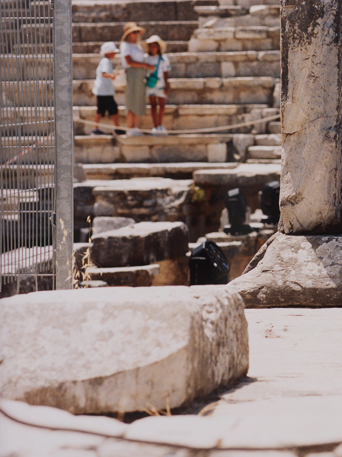 Cats (Cat X sitting in the shadow of the theater of Ephesus), 2024