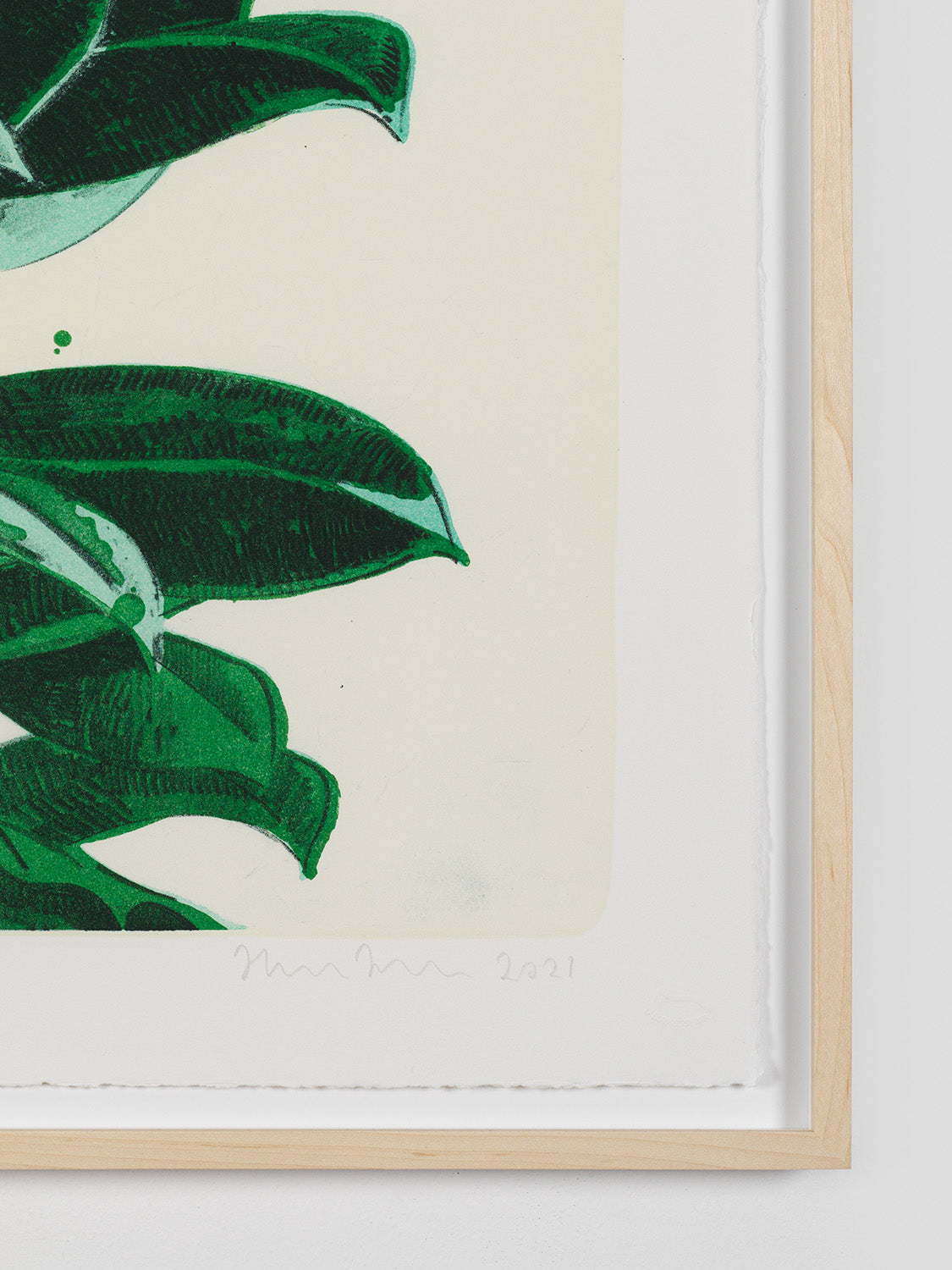 rubber tree painting Rubber Plant – Super Super Markt