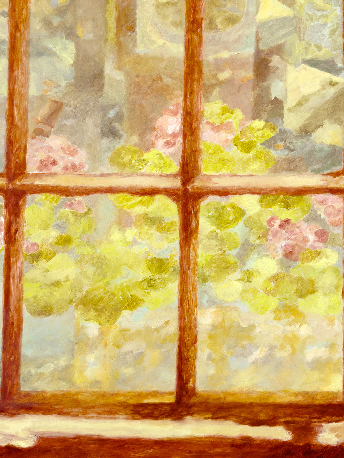 Window, Pelargonium
