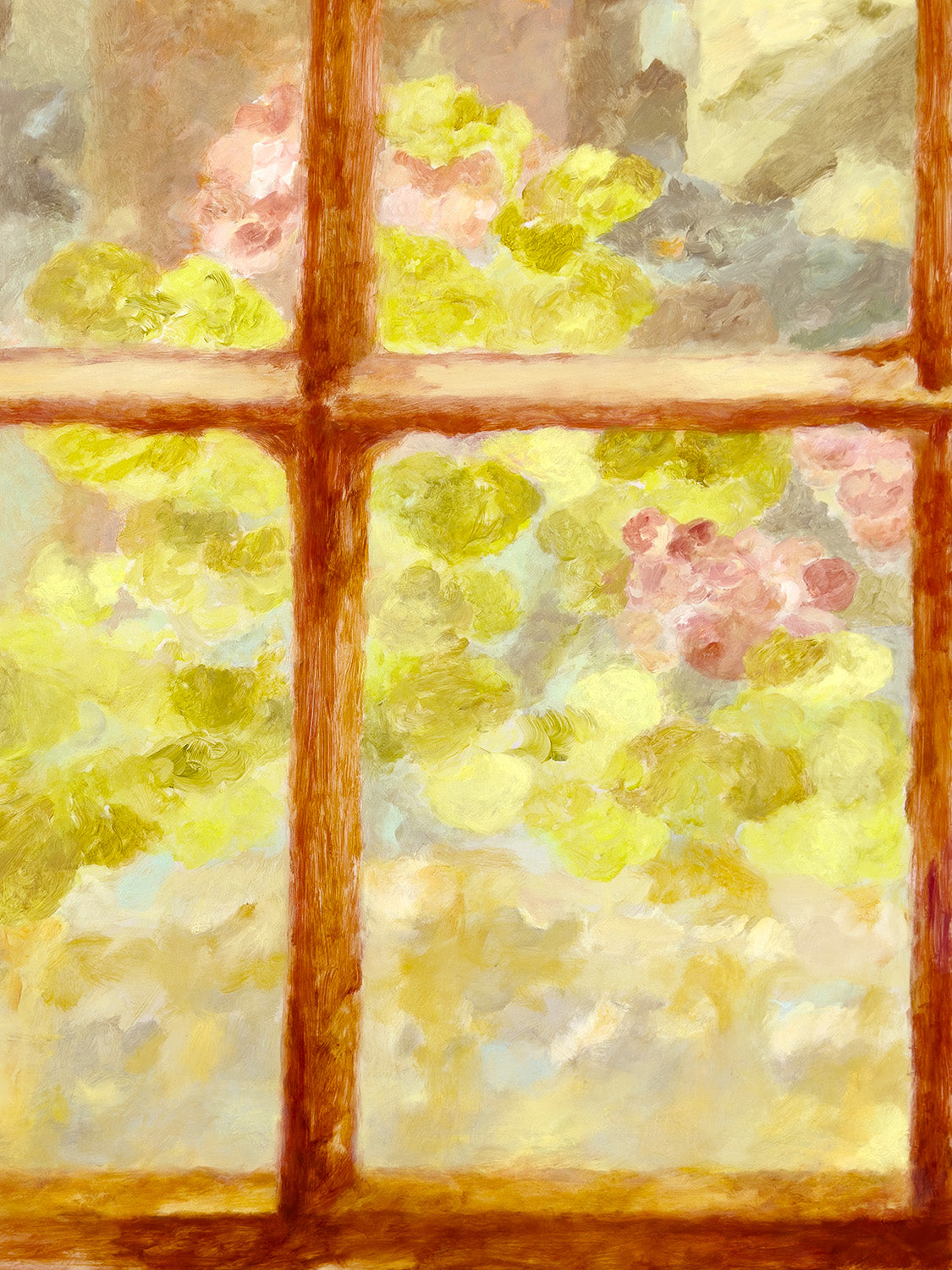 Window, Pelargonium